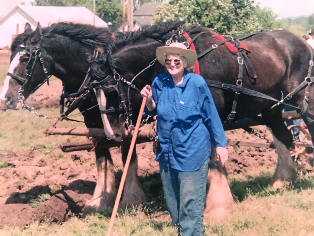 My Grandmother walking next to Clysdales plowing a field 