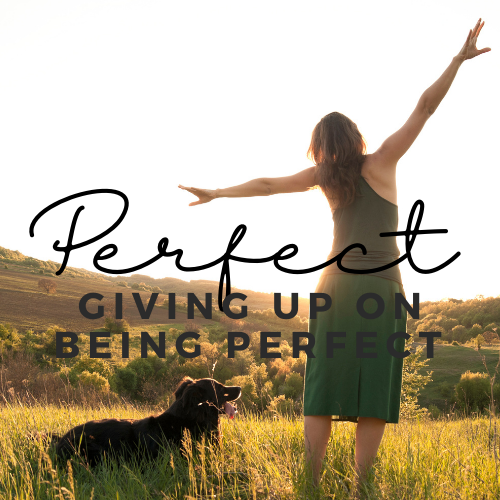 Giving Up on Being Perfect, Interviewing Jesus Podcast 