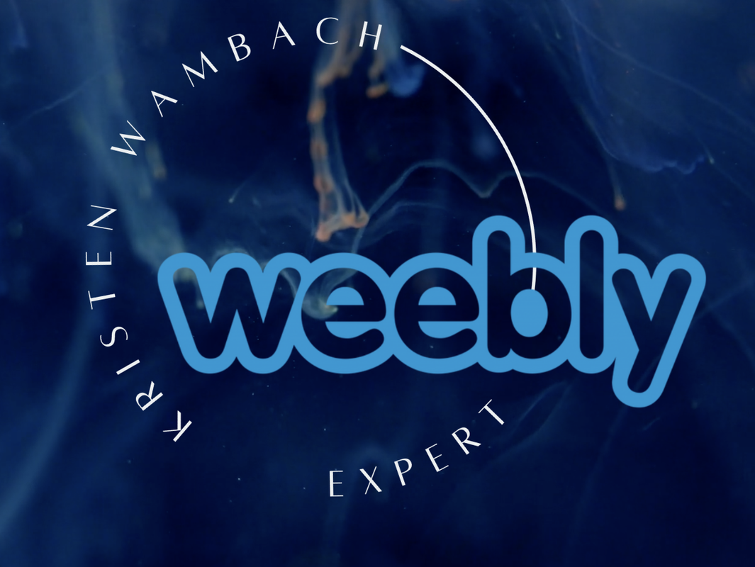 Weebly Expert | How to Streamline your online store 