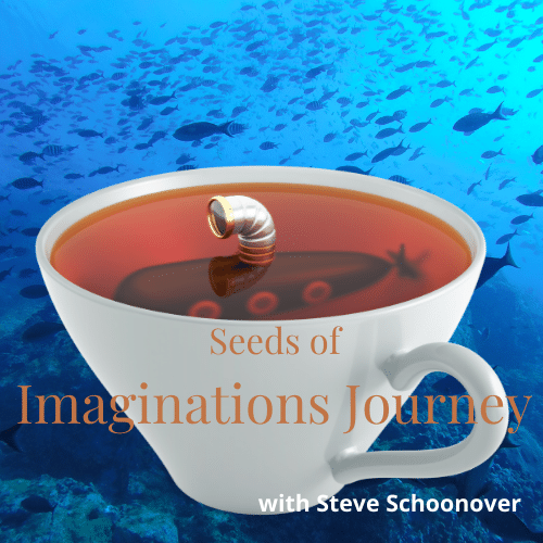 Northwest Bliss Podcast Seeds of Imaginations with Steve Schoonover